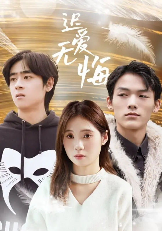 迟爱无悔 海报