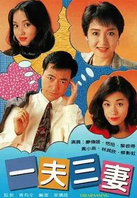 《一夫三妻国语》：港式喜剧的爆笑演绎，啼笑皆非的婚姻生活！