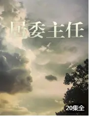 《居委主任》：鸡毛蒜皮下的温情烟火，小人物的社区英雄主义奏响平凡赞歌